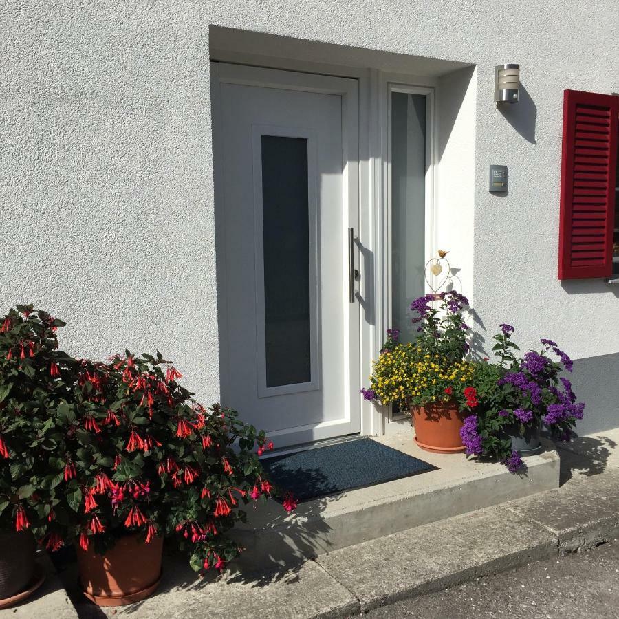 Ferienwohnungen Haus Bergflora Bach  Exteriör bild